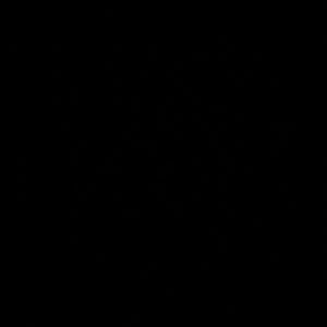 Meet your Posher, Meredith